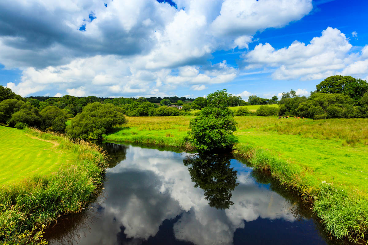 Gorllewin Cymru yn rhoi afonydd yn gyntaf wrth lansio gwefan rheoli maetholion newydd