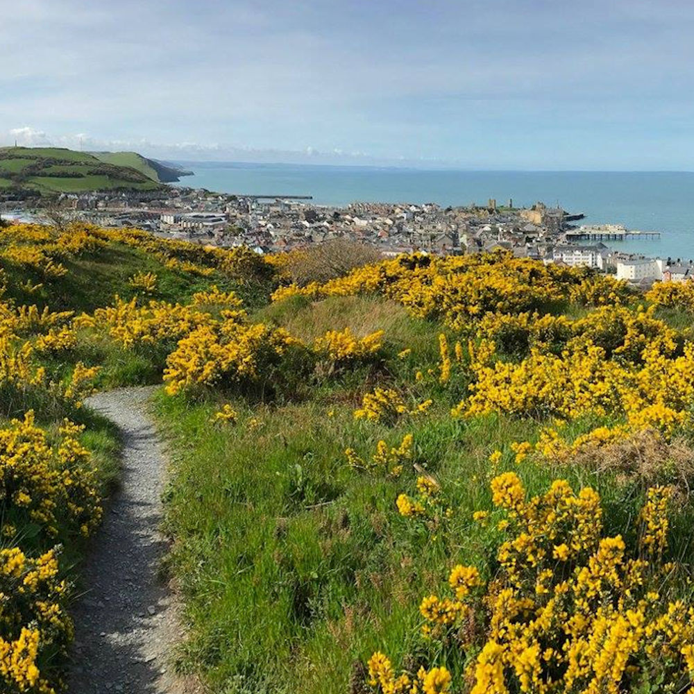 Local Nature Reserves and Wildlife Sites