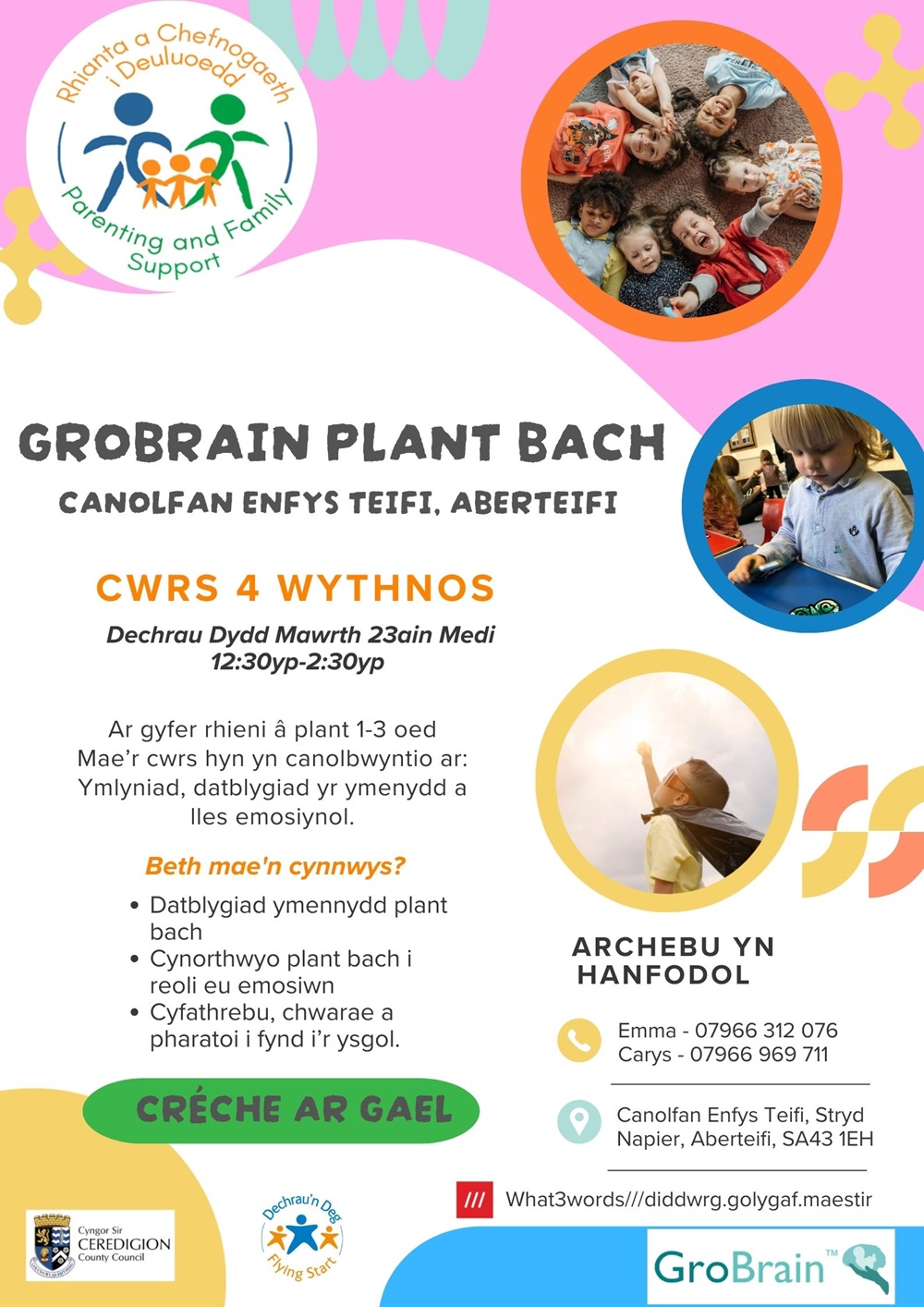 GroBrain Plant Bach 