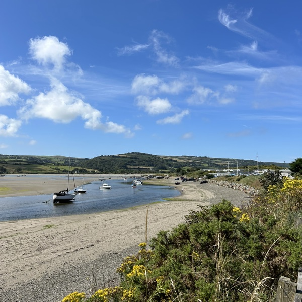 Cylchdaith Mwnt