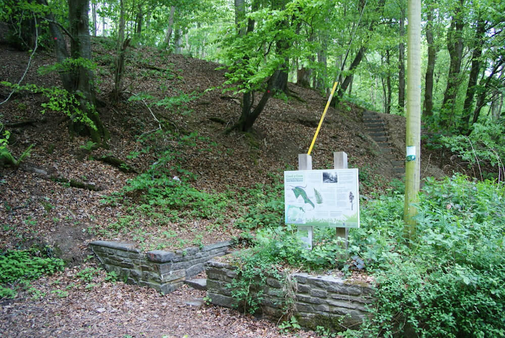 Entrance to Coed y Cwm