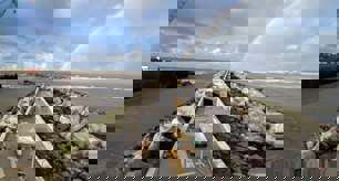 Gwaith yn parhau ar Gynllun Amddiffyn Arfordir Aberaeron