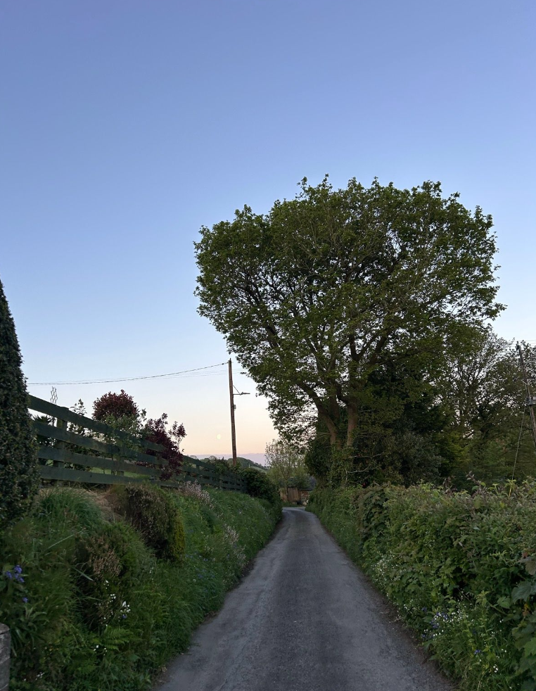 Talybont