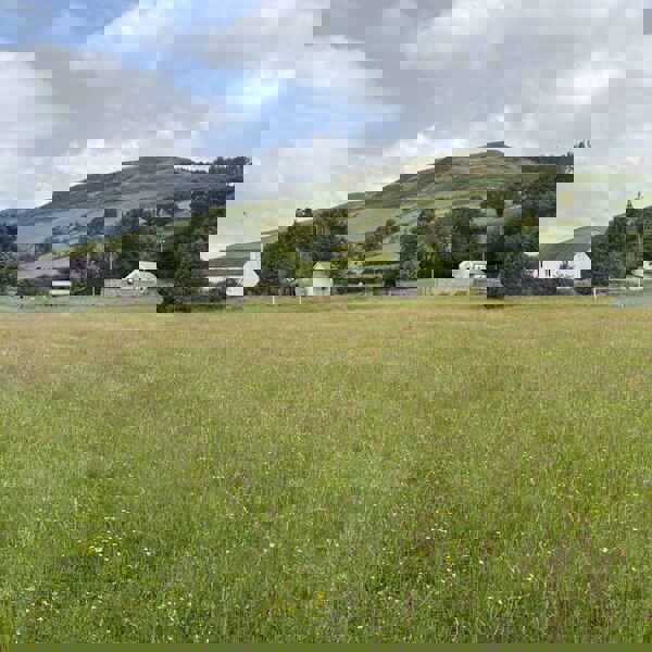 Maesyfelin Sports Grounds and Buildings, Llanafan