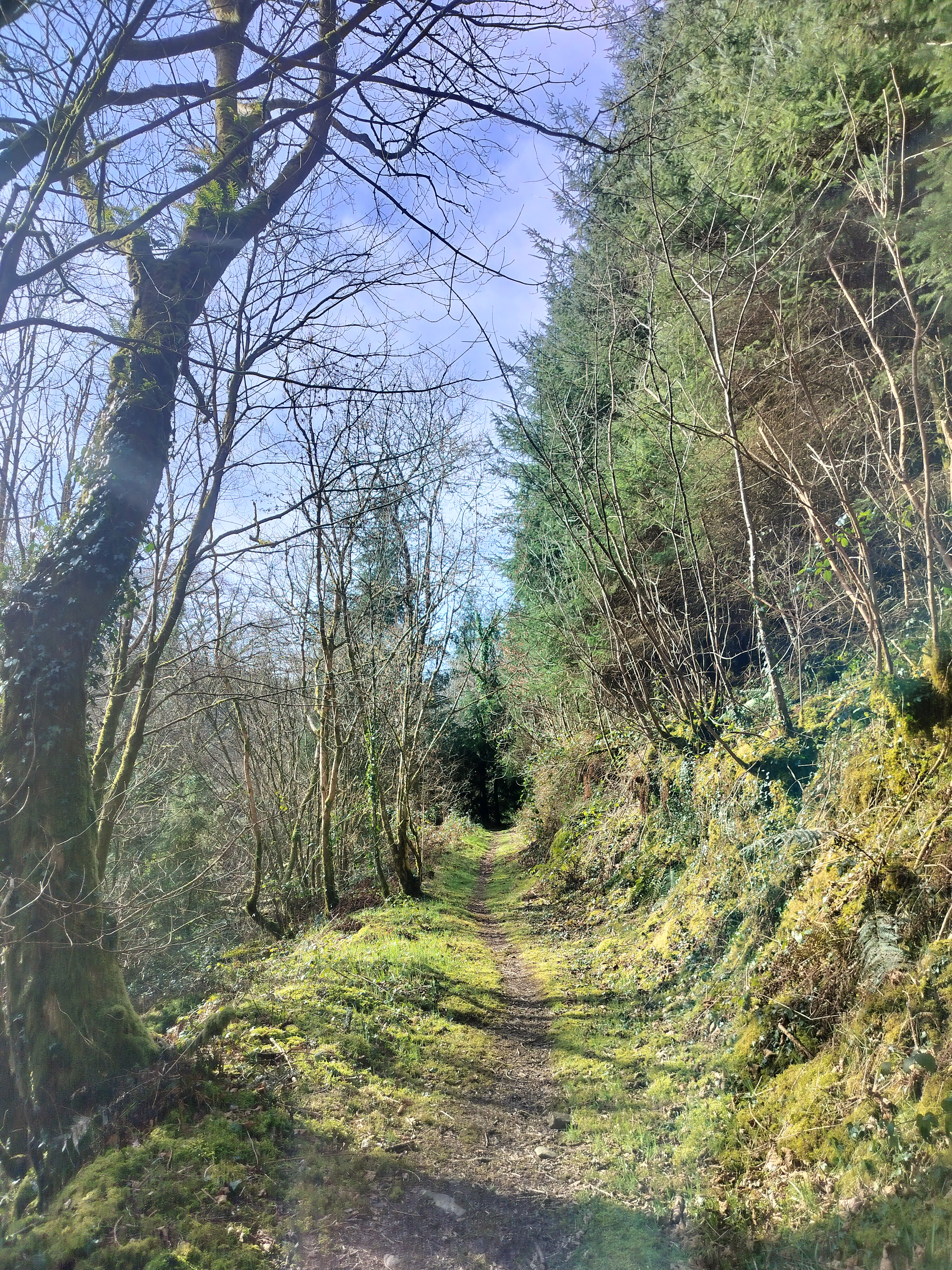 Llanarth
