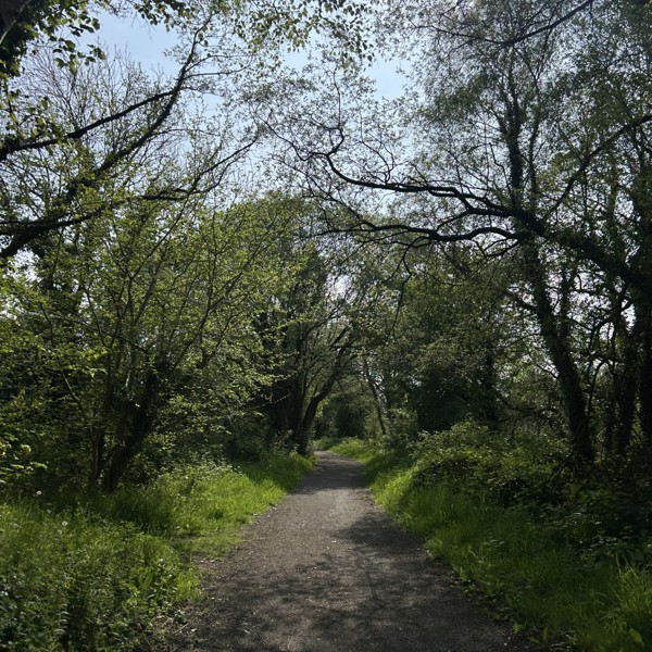 Llanilar Circular