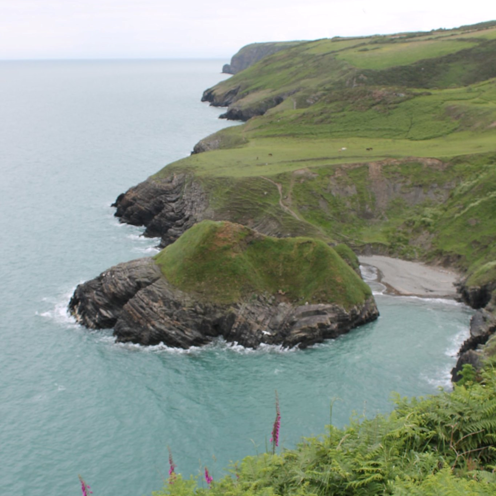 Marine SAC's and Heritage Coast