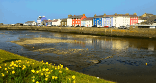 Gofyn am farn a gwybodaeth gan drigolion am ardaloedd cadwraeth