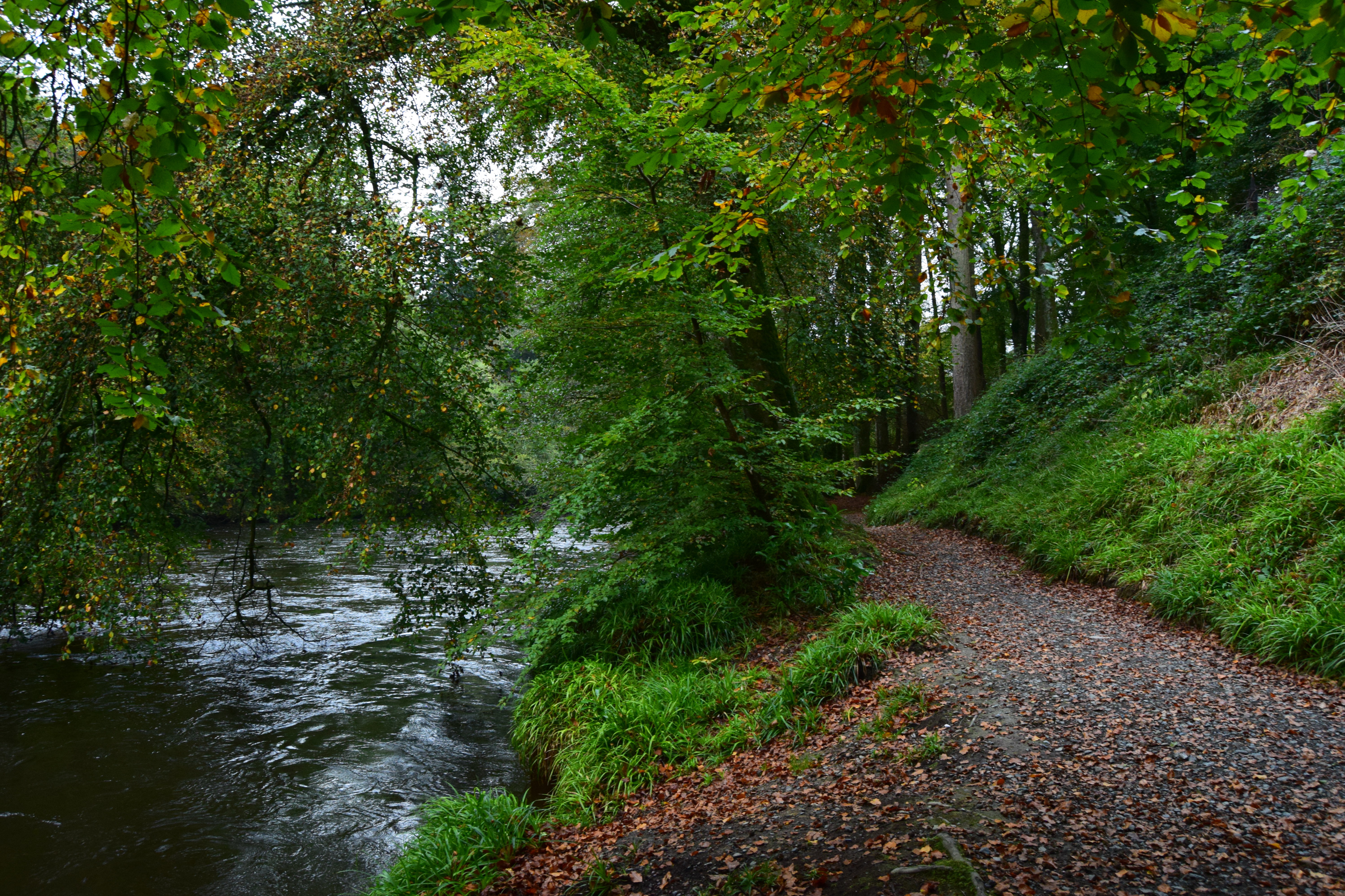 Henllan