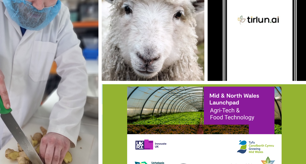 Innovation success highlighted in Mid and North Wales: New projects propel Agri-Tech and Food-Tech innovation
