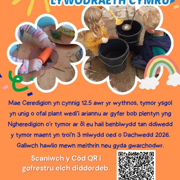 Gofal Plant A Ariennir Gan Lywodraeth Cymru 