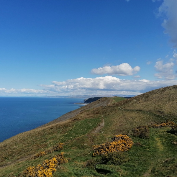 Tanybwlch