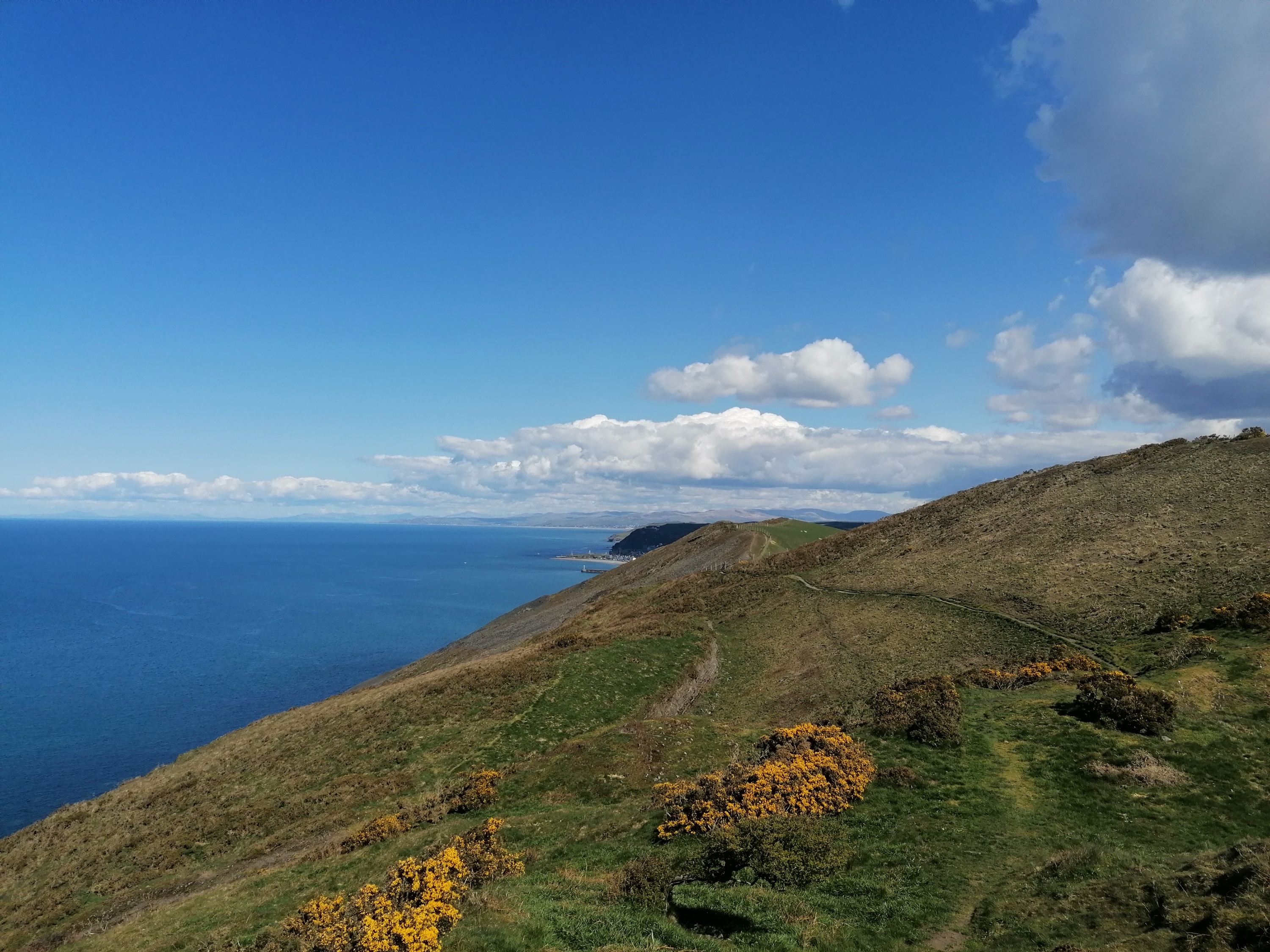 Tanybwlch