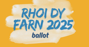 Ceredigion young people take part in the Rhoi dy Farn ballot 2025