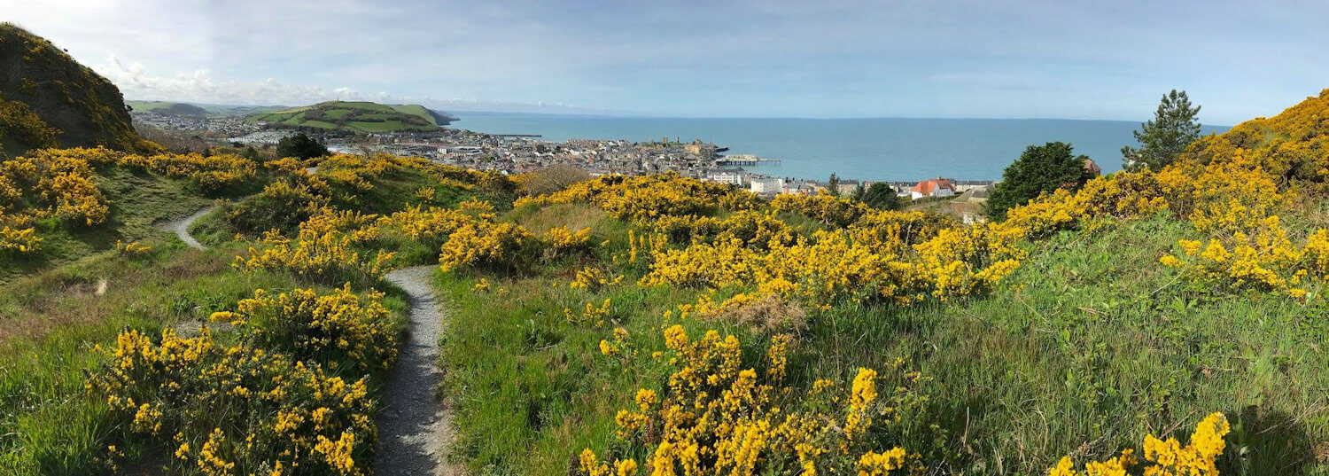 Parc natur penglais aberystwyth skyline