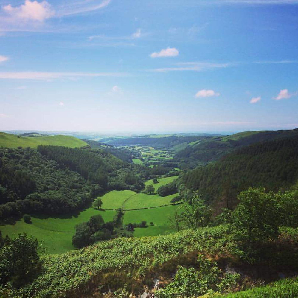 Trees, Hedgerows and Woodlands