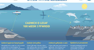 Rhowch y lle y maent yn ei haeddu i fywyd gwyllt
