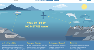 Give marine wildlife the space they deserve