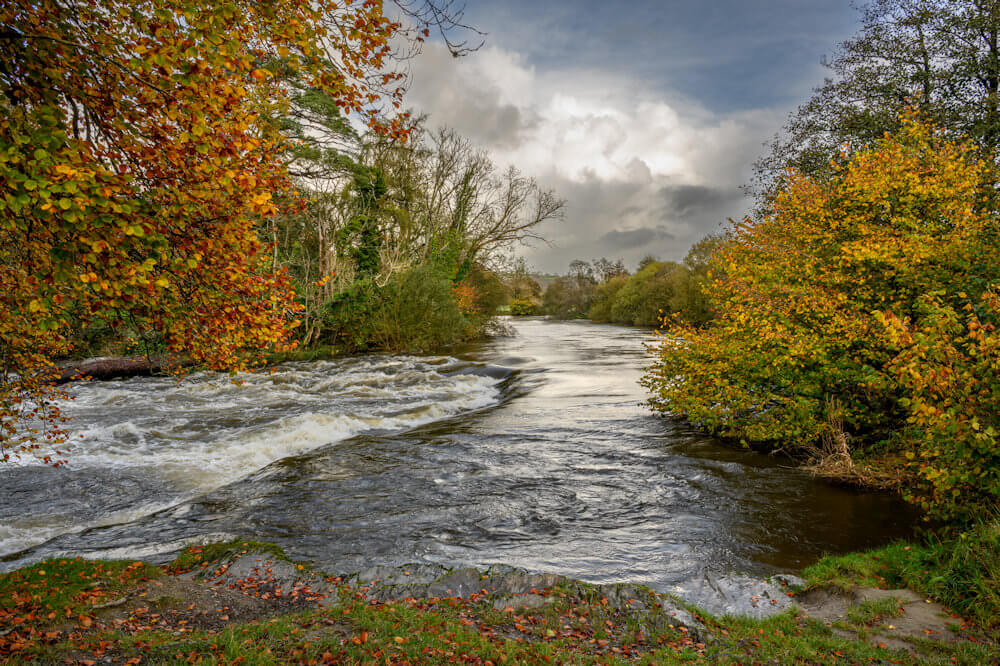 Afon Teifi
