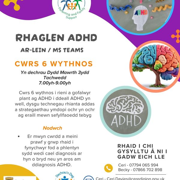 Rhaglen ADHD Ar-lein
