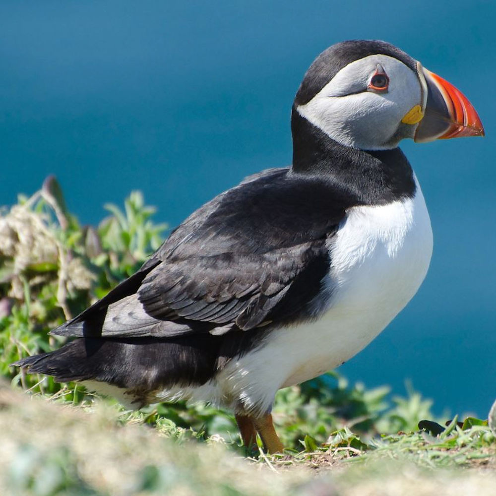 Nature Recovery Action Plan